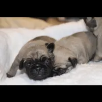 processed/f6acc25f-3255-4c8a-ab06-ec32aec6f6dd/facility/fb2b4119-4b46-4fe5-85a1-47eea666f2fa