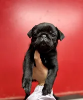 processed/f6acc25f-3255-4c8a-ab06-ec32aec6f6dd/listing/9fa0c012-7215-4f65-b355-8000ac7a3140/4769d1e3-9b19-4632-b6db-05fad3dbb4d3