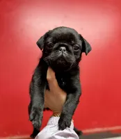 processed/f6acc25f-3255-4c8a-ab06-ec32aec6f6dd/listing/9fa0c012-7215-4f65-b355-8000ac7a3140/7d7cafd1-7a63-468e-b96c-645d0af52d16