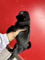 processed/f6acc25f-3255-4c8a-ab06-ec32aec6f6dd/listing/9fa0c012-7215-4f65-b355-8000ac7a3140/961249d8-bdcc-413c-897c-a3dbcc3f581d