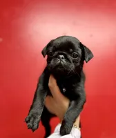 processed/f6acc25f-3255-4c8a-ab06-ec32aec6f6dd/listing/9fa0c012-7215-4f65-b355-8000ac7a3140/c3c30356-201c-4dfd-9f38-a52a3e3bb8b2