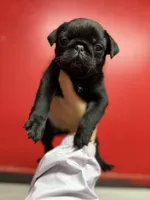 processed/f6acc25f-3255-4c8a-ab06-ec32aec6f6dd/listing/9fa0c012-7215-4f65-b355-8000ac7a3140/cb758bc2-ed89-4c32-bd0a-9e40041e8303