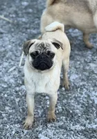 processed/f6acc25f-3255-4c8a-ab06-ec32aec6f6dd/listing/9fccd567-2673-415c-bb40-0dd203768f0f/0399f43d-7564-4dd4-8c9c-6cab6985a307