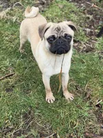 processed/f6acc25f-3255-4c8a-ab06-ec32aec6f6dd/listing/9fccd567-2673-415c-bb40-0dd203768f0f/60299947-c566-4867-8c04-1e79cf3950d1