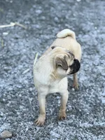 processed/f6acc25f-3255-4c8a-ab06-ec32aec6f6dd/listing/9fccd567-2673-415c-bb40-0dd203768f0f/8a562c7b-dea9-41ad-945e-d01df71d845f