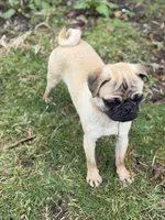 processed/f6acc25f-3255-4c8a-ab06-ec32aec6f6dd/listing/9fccd567-2673-415c-bb40-0dd203768f0f/bb2aea5a-cc2d-41bc-b742-70d55571f759