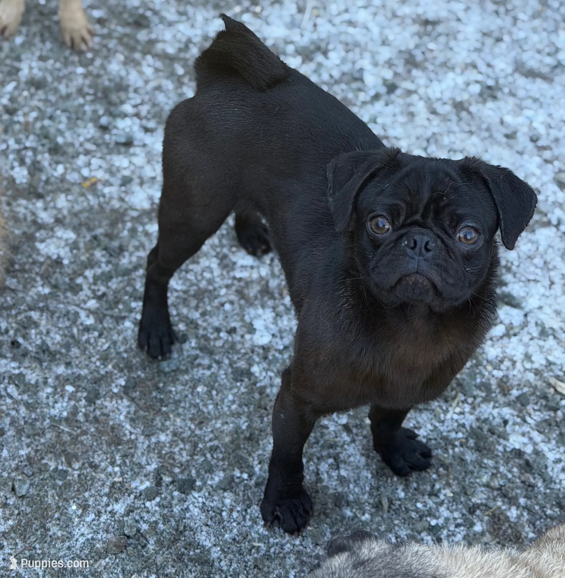 processed/f6acc25f-3255-4c8a-ab06-ec32aec6f6dd/listing/c76ba809-f0a3-4ddf-9b6f-45b8ee84fd32/16db4949-b40e-4888-90f8-fc45191dab52