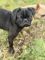 processed/f6acc25f-3255-4c8a-ab06-ec32aec6f6dd/listing/c76ba809-f0a3-4ddf-9b6f-45b8ee84fd32/6dcc6427-7d91-4032-83e6-30c791dcfcd3