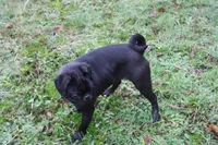 processed/f6acc25f-3255-4c8a-ab06-ec32aec6f6dd/listing/c76ba809-f0a3-4ddf-9b6f-45b8ee84fd32/9f5d8320-c44f-488b-9733-7f43a354f152