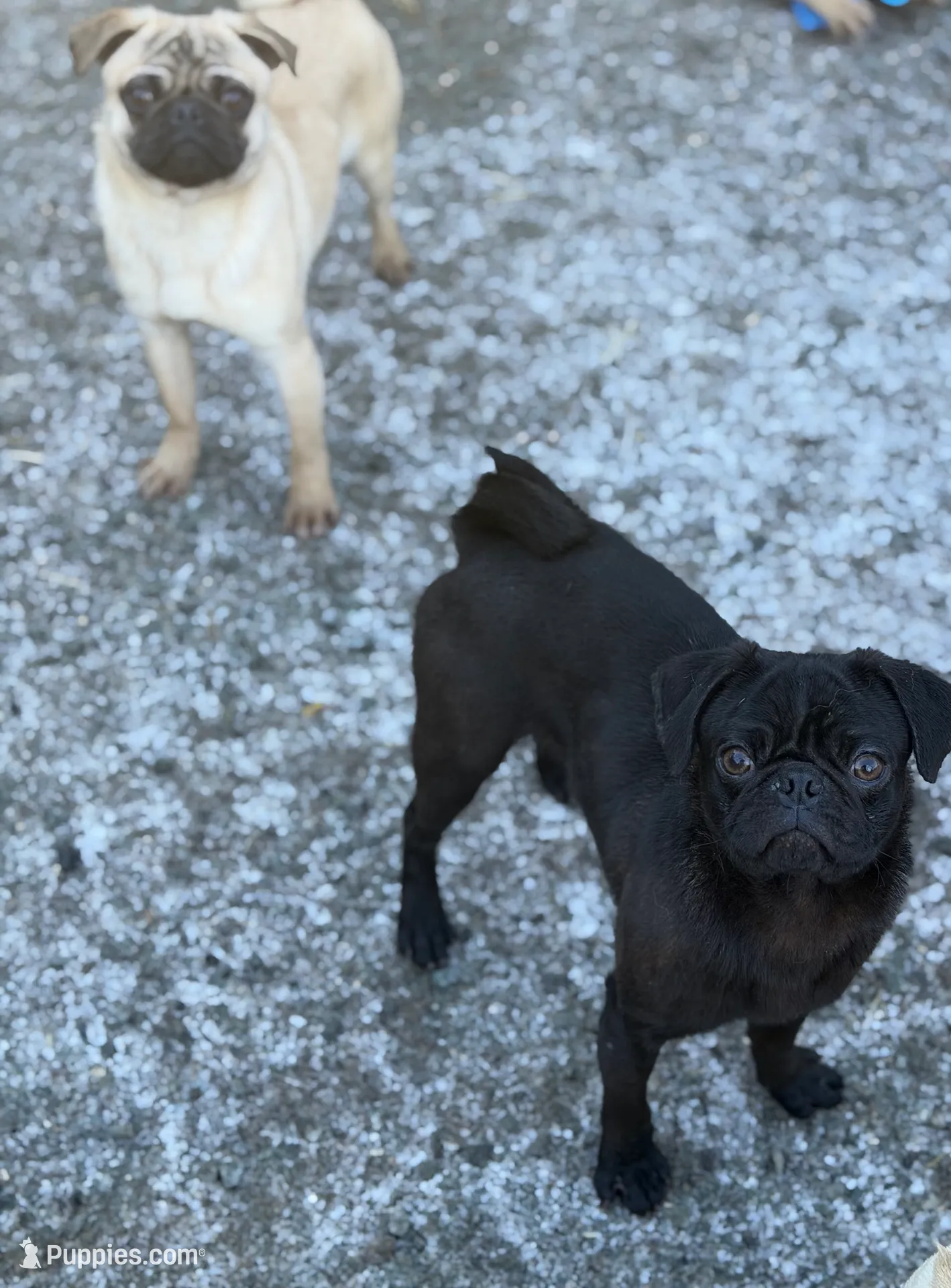 processed/f6acc25f-3255-4c8a-ab06-ec32aec6f6dd/listing/c76ba809-f0a3-4ddf-9b6f-45b8ee84fd32/a1a61e74-0a51-4bd7-a8f3-6a4f58f7c931