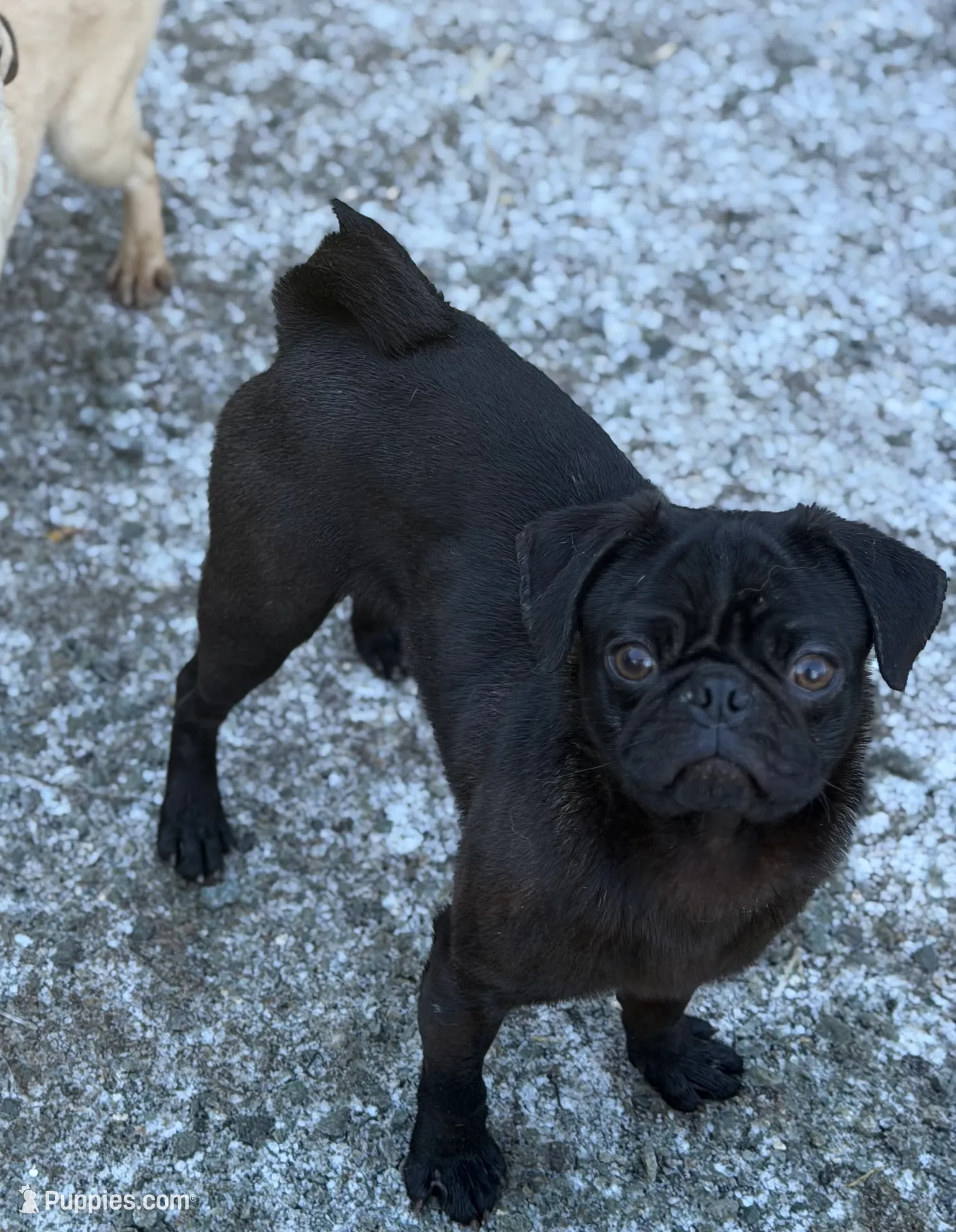 processed/f6acc25f-3255-4c8a-ab06-ec32aec6f6dd/listing/c76ba809-f0a3-4ddf-9b6f-45b8ee84fd32/ad99c2b9-ae08-4742-8e24-1596fa0b5414