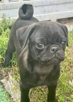 processed/f6acc25f-3255-4c8a-ab06-ec32aec6f6dd/listing/c76ba809-f0a3-4ddf-9b6f-45b8ee84fd32/bcb13349-a23b-471c-886d-08c4f4282418