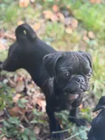 processed/f6acc25f-3255-4c8a-ab06-ec32aec6f6dd/listing/c76ba809-f0a3-4ddf-9b6f-45b8ee84fd32/c4039df9-6736-4ef8-8d3a-15991d918035