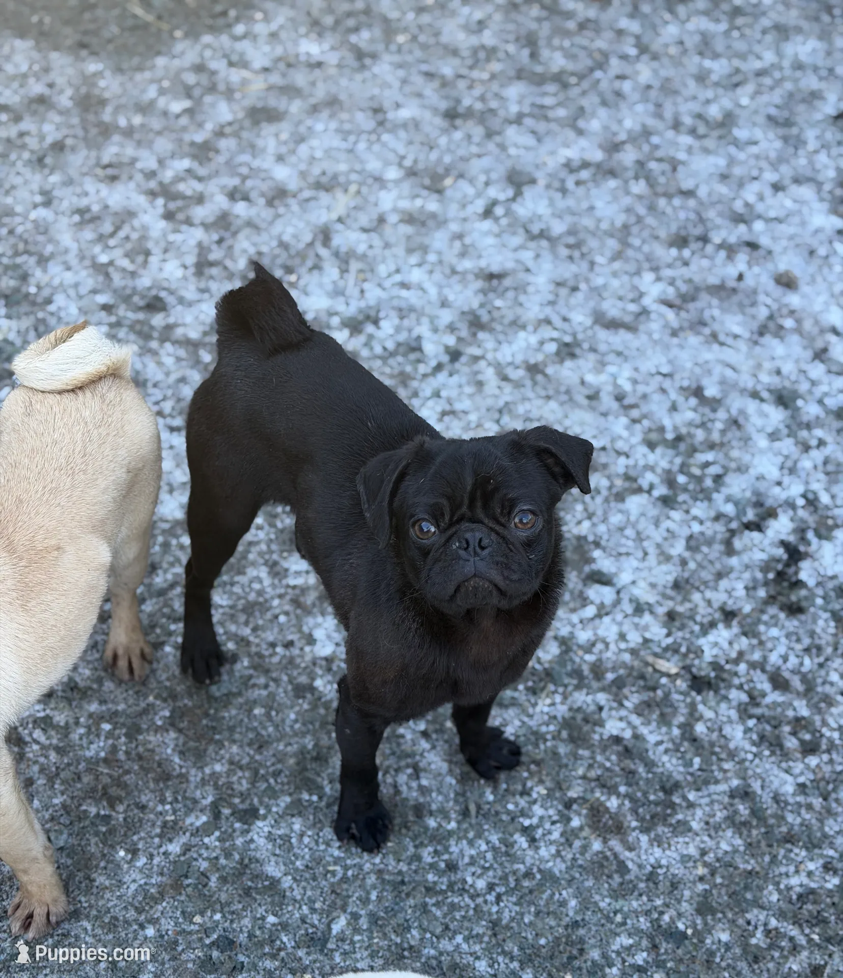 processed/f6acc25f-3255-4c8a-ab06-ec32aec6f6dd/listing/c76ba809-f0a3-4ddf-9b6f-45b8ee84fd32/ccf0b4ad-73bb-45b5-bda9-876cbf559f3f