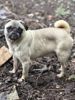 processed/f6acc25f-3255-4c8a-ab06-ec32aec6f6dd/listing/d59f2778-63c3-4602-ae4f-ab81f39ea8c5/436541fb-f24d-485b-8c16-7fba6bcb5801