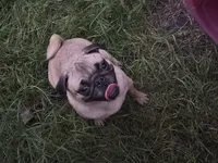 processed/f6acc25f-3255-4c8a-ab06-ec32aec6f6dd/listing/d59f2778-63c3-4602-ae4f-ab81f39ea8c5/69ef6cde-1245-4639-9cbd-cafc153a71d0