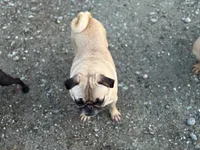 processed/f6acc25f-3255-4c8a-ab06-ec32aec6f6dd/listing/d59f2778-63c3-4602-ae4f-ab81f39ea8c5/81488b60-9ce0-4831-b0df-47b4f300ca70