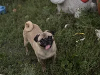 processed/f6acc25f-3255-4c8a-ab06-ec32aec6f6dd/listing/d59f2778-63c3-4602-ae4f-ab81f39ea8c5/a1a9e332-3db3-47a8-af1f-cfc05eb41c9f