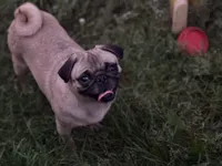 processed/f6acc25f-3255-4c8a-ab06-ec32aec6f6dd/listing/d59f2778-63c3-4602-ae4f-ab81f39ea8c5/c7e4efc9-3d1e-4699-8ba9-efd66e8fe5da