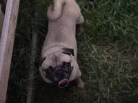 processed/f6acc25f-3255-4c8a-ab06-ec32aec6f6dd/listing/d59f2778-63c3-4602-ae4f-ab81f39ea8c5/ff55a1c6-1d88-4a67-895d-909580dc0c69