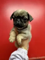 processed/f6acc25f-3255-4c8a-ab06-ec32aec6f6dd/listing/ee9ea190-55e5-4374-83ee-63109b1976a0/40c68826-3464-465f-a5bb-bb0e9138104b