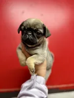 processed/f6acc25f-3255-4c8a-ab06-ec32aec6f6dd/listing/ee9ea190-55e5-4374-83ee-63109b1976a0/53b23269-e67e-492a-a53c-ed26d769d5fc