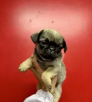 processed/f6acc25f-3255-4c8a-ab06-ec32aec6f6dd/listing/ee9ea190-55e5-4374-83ee-63109b1976a0/55fe0ccc-4de4-4862-ab7b-1a3577949f76