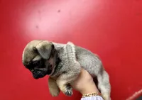 processed/f6acc25f-3255-4c8a-ab06-ec32aec6f6dd/listing/ee9ea190-55e5-4374-83ee-63109b1976a0/802900de-ef63-44a0-b22b-f44eb3387fef