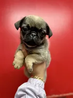 processed/f6acc25f-3255-4c8a-ab06-ec32aec6f6dd/listing/ee9ea190-55e5-4374-83ee-63109b1976a0/9d19e074-8243-48de-9a63-f66bf44c0d4f