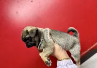 processed/f6acc25f-3255-4c8a-ab06-ec32aec6f6dd/listing/ee9ea190-55e5-4374-83ee-63109b1976a0/bbb564b9-b8b4-4a3d-aa7e-648189533d5a