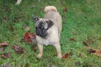 processed/f6acc25f-3255-4c8a-ab06-ec32aec6f6dd/listing/f87b42a4-3239-466d-b0d7-97c44070f3c3/1197d629-371a-4893-8d4c-604ad929e5da