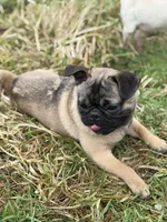 processed/f6acc25f-3255-4c8a-ab06-ec32aec6f6dd/listing/f87b42a4-3239-466d-b0d7-97c44070f3c3/2090f28f-8eb8-4b6a-b740-e3be0c142bda