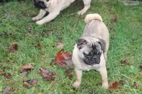 processed/f6acc25f-3255-4c8a-ab06-ec32aec6f6dd/listing/f87b42a4-3239-466d-b0d7-97c44070f3c3/c457e024-4668-48d6-b6cc-d6cb1aa35659