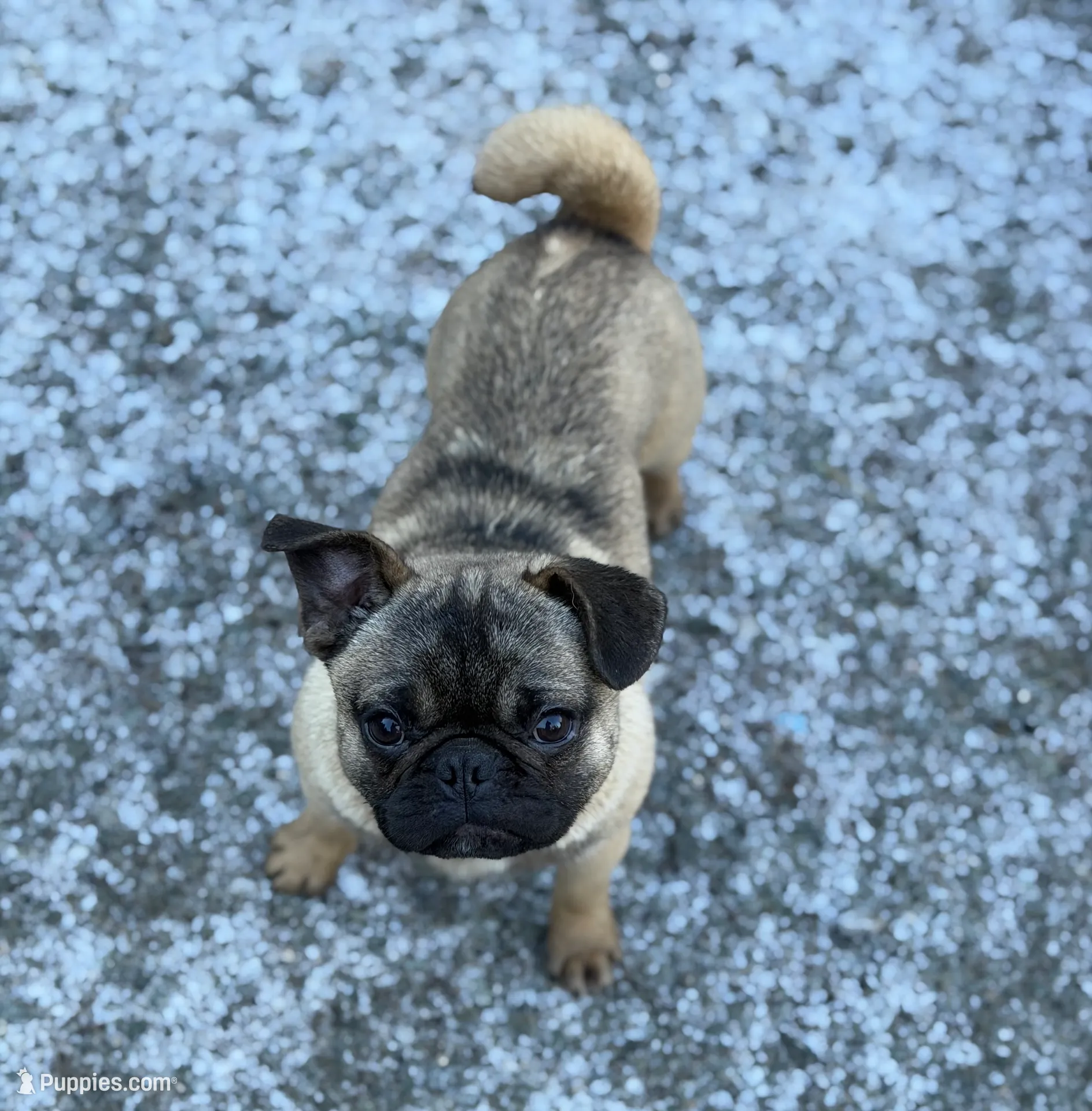 processed/f6acc25f-3255-4c8a-ab06-ec32aec6f6dd/listing/f87b42a4-3239-466d-b0d7-97c44070f3c3/df14e75f-1aa4-454c-b501-b93b7495a7bc