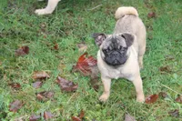 processed/f6acc25f-3255-4c8a-ab06-ec32aec6f6dd/listing/f87b42a4-3239-466d-b0d7-97c44070f3c3/edc84fb6-52b5-40a1-8ec4-ad8d6cebe3c7