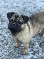 processed/f6acc25f-3255-4c8a-ab06-ec32aec6f6dd/listing/f87b42a4-3239-466d-b0d7-97c44070f3c3/fa650fed-d3ee-490d-a9fe-9defcf239bef