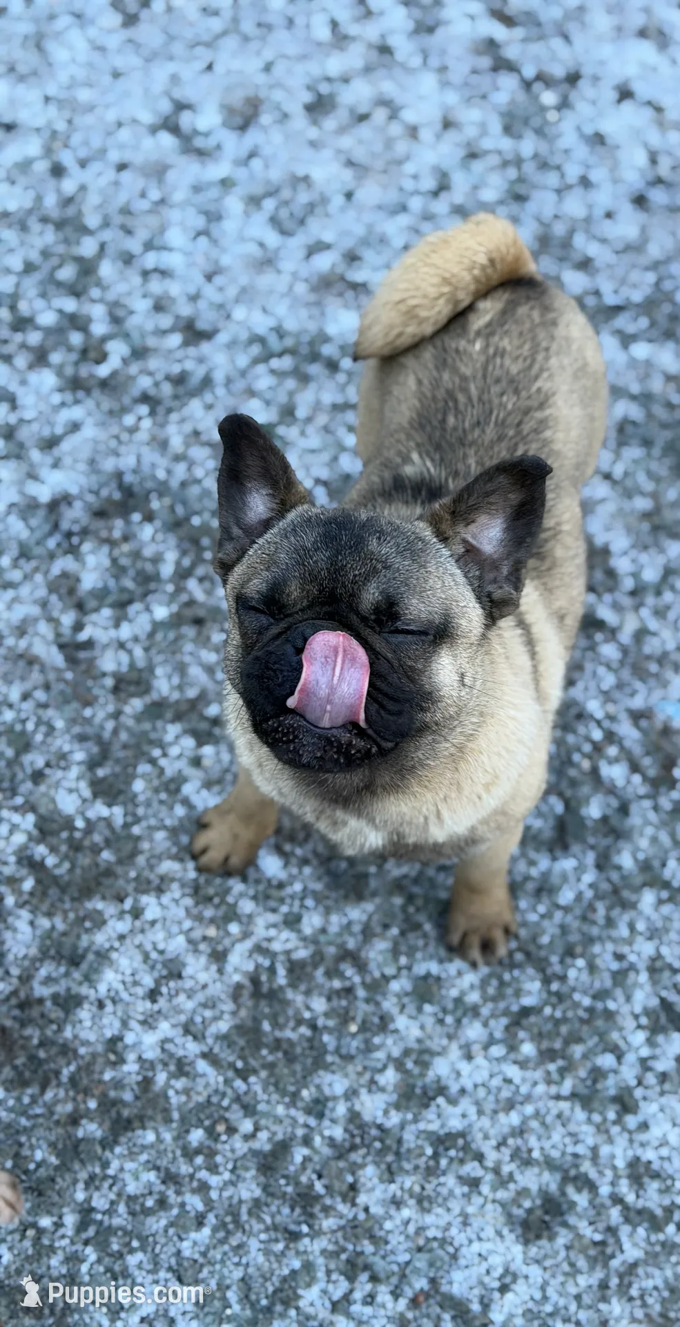 processed/f6acc25f-3255-4c8a-ab06-ec32aec6f6dd/listing/f87b42a4-3239-466d-b0d7-97c44070f3c3/fc5422d4-fe80-48f1-902c-61a9ffc0f7fa