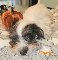 processed/f6b59bf7-844b-4fdf-9cae-922d8eaf85d8/listing/2be7ebf8-a0eb-41eb-8518-51027e0860de/2a3ce827-1993-4ac9-a06a-72a40dfec48a