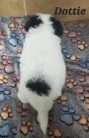 processed/f6b59bf7-844b-4fdf-9cae-922d8eaf85d8/listing/2be7ebf8-a0eb-41eb-8518-51027e0860de/355cc2b3-5531-4ff8-ad63-9d263ca64373