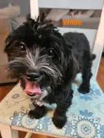 processed/f6b59bf7-844b-4fdf-9cae-922d8eaf85d8/listing/a17bade8-9c32-4e99-b1e2-4aabc4a8b77a/53862163-94c0-4bf0-9b00-fdc28d8c2e61