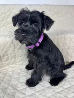 processed/f6b5be6a-9187-45d6-9c16-88e446aa1393/listing/fb14214d-9b50-4c2a-a8c0-e6e7a54b0a4b/0f5c0871-6df5-4892-b8da-25264de70627