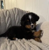 processed/f6bbf949-5f7d-4234-9d51-07a5ba17ba08/listing/3e7d40da-cac7-4afa-8af7-370005707681/7582fc8e-98b4-4854-a0bd-01592c22a34a