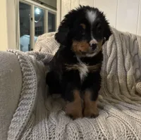 processed/f6bbf949-5f7d-4234-9d51-07a5ba17ba08/listing/3e7d40da-cac7-4afa-8af7-370005707681/d6ce0c3e-c014-4451-a2ac-7d24521caf97