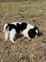 processed/f6c13f15-1970-4d36-8943-986330d14d12/listing/be06832b-0613-4c60-b4c7-5c02ced85ceb/13e29650-ddcf-491e-be76-52285ffd693b