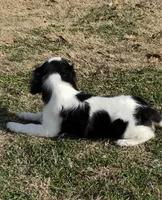 processed/f6c13f15-1970-4d36-8943-986330d14d12/listing/be06832b-0613-4c60-b4c7-5c02ced85ceb/1d8dca9e-2551-4638-a69b-408dfb920e36