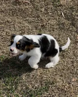 processed/f6c13f15-1970-4d36-8943-986330d14d12/listing/be06832b-0613-4c60-b4c7-5c02ced85ceb/b947a7fa-3623-49ae-9586-59a94fa21848