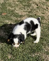 processed/f6c13f15-1970-4d36-8943-986330d14d12/listing/be06832b-0613-4c60-b4c7-5c02ced85ceb/d66d5a8c-2111-49b2-b39e-0712d228bda1