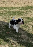 processed/f6c13f15-1970-4d36-8943-986330d14d12/listing/be06832b-0613-4c60-b4c7-5c02ced85ceb/e601a67f-e03f-4745-abfc-6e799045bddd