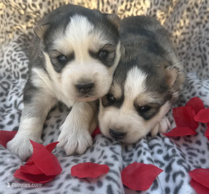 Bridget’s boy Mario 