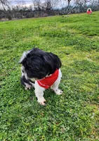 processed/f6cc539a-00ca-4061-9513-dfa9faba2334/listing/ce9e0edb-402a-4c90-8306-89785fe855a2/0d0024cf-f8bd-4429-bbab-6236219ca266